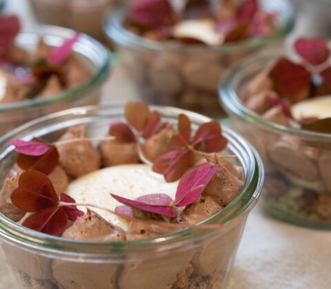 Vanilje panna cotta med rimmet rabarber