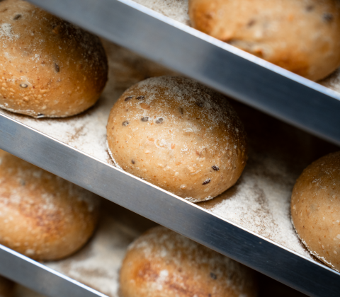 Surdejs grove morgenboller