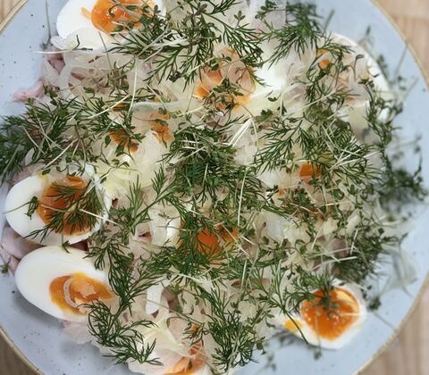 Rejer og smilende æg