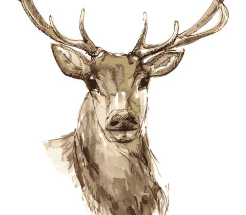 Middagsboller i cremet karrysauce med æbler 