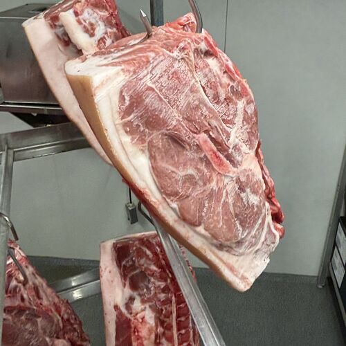 Krogmodnet kamsteg af dansk gris